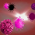 インフルエンザウイルスの中に絶滅したものがある可能性、新型コロナウイルス感染対策の影響か