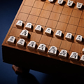 史上初の外国人女流棋士が引退　「家庭の事情」で日本に戻れず